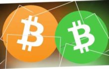 Суждено ли Bitcoin Cash и Bitcoin SV покинуть крипто-арену?
