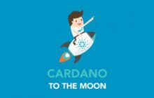 Cardano продолжает своё восхождение