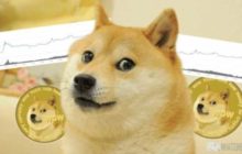 Интерес к Dogecoin взлетел на фоне 150% пампа