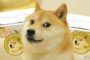 Интерес к Dogecoin взлетел на фоне 150% пампа