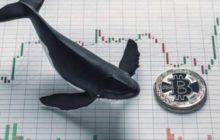 Сервис для отслеживания транзакций криптовалют Whale Alert временно прекратит работу в Twitter