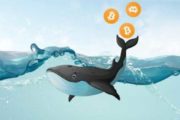 Аналитики Glassnode зафиксировали резкий рост числа «биткоин-китов»