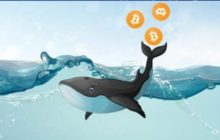 Сервис для отслеживания транзакций криптовалют Whale Alert возобновил свою работу в Twitter
