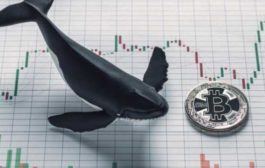 Биткоин-кит перевел 15,022 BTC на сумму $166 млн., заплатив комиссию $0,91