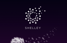В сети Cardano активировано обновление Shelley
