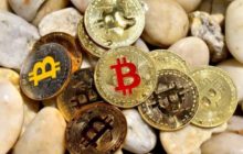Аналитик PlanB провел опрос на тему цены биткоина