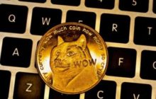 Блокчейн Dogecoin использовался для управления ботнетом