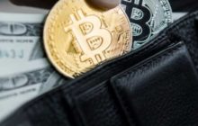 Объем биткоинов на криптокошельках вырос до значений ралли 2017 года