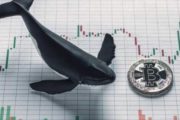 Число биткоин-китов выросло до нового максимума