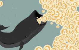 Неизвестный «биткоин-кит» перевёл 11 230 BTC на сумму $ 116 млн