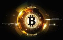 Аналитики Chainalysis сообщили о рекордном росте новых инвестиционных биткоин-адресов