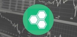 Ликвидатор биржи Cryptopia начнет принимать заявки на возврат активов к концу 2020 года