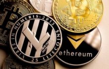 Глава Binance US поделилась своим видением будущего криптовалют