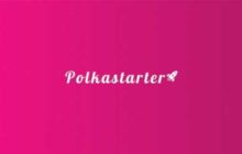 За сутки у взлетевшего на 750% проекта Polkastarter появилось 14 клонов