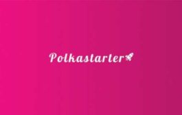 За сутки у взлетевшего на 750% проекта Polkastarter появилось 14 клонов