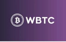 Капитализация токена Wrapped Bitcoin приблизилась к $1 млрд