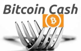 Сеть Bitcoin Cash готовится к хардфорку