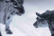 Kraken: Рынок деривативов продолжает расти, а спотовые объемы не смогли полностью восстановиться
