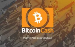 Компания, выпускающая кошельки Trezor, сделала объявление касательно форка Bitcoin Cash