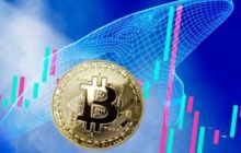 95% биткоинов находятся под контролем всего 2% китов