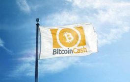В блокчейне Bitcoin Cash прошел хардфорк