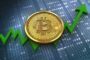 Bitcoin Cash-траст компании Grayscale сократился на $1,6 млн в преддверии форка в сети