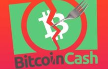Началось постепенное восстановление торговой активности Bitcoin Cash после хардфорка