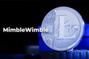 Код протокола MimbleWimble будет внедрен в Litecoin в первом квартале 2021 года
