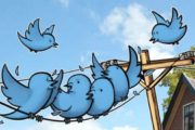 Интерес к биткоину в Twitter взлетел до трехлетнего максимума