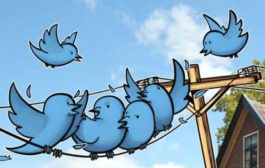 Интерес к биткоину в Twitter взлетел до трехлетнего максимума