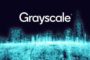Grayscale купили 12,48 млн токенов XRP