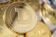 Крупнейшим держателем DOGE может являться Robinhood