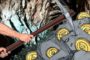 Биржа Kraken объявила о запуске своей ноды Chainlink