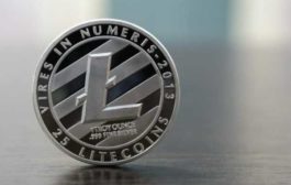 80% добытых в феврале Litecoin купил Grayscale