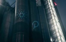 Дубайский инвестиционный фонд FD7 Ventures: Cardano и Polkadot вырастут в 20 раз
