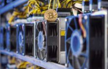 За год акции крупных майнинговых компаний прибавили 5000%