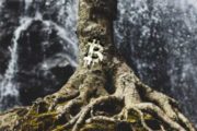 Разработчики обсуждают предложение, которое ускорит активацию Taproot