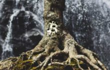 Разработчики обсуждают предложение, которое ускорит активацию Taproot
