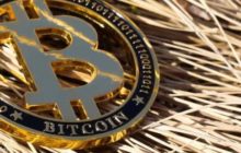 Комиссии в блокчейне биткоина подскочили до абсолютного максимума