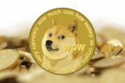 Newegg теперь принимает Dogecoin