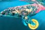 Процент накопленных китами биткоинов достиг 11-месячного максимума