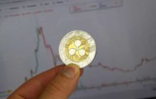 Эксперты прокомментировали рост XRP и дали свои прогнозы