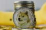 Откат был неизбежен: Dogecoin упал более чем на 20%