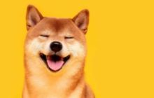 Инвесторы в Shiba INU создали две петиции с просьбой добавить токен на Robinhood и Coinbase