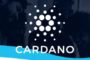 Число кошельков на блокчейне Cardano превысило один миллион