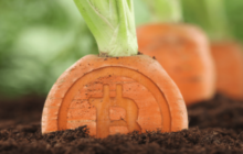 Основные майнинг-пулы готовы поддержать обновление Taproot в сети биткоина