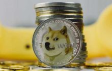 Илон Маск отправляет Dogecoin на Луну