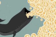 Киты пользуются падением цены биткоина