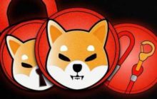 Coinbase Pro задерживает листинг SHIB. Токен падает в цене