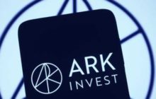 ARK Invest вложили в акции Robinhood почти 1,3 млн